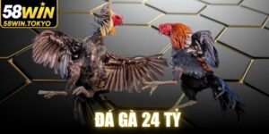 Đá Gà 24 Tỷ