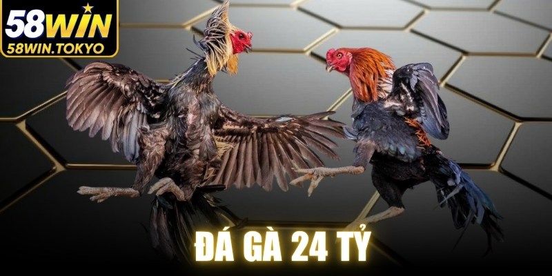 Đá Gà 24 Tỷ