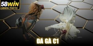 Đá Gà C1