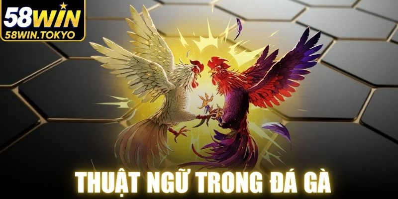 Thuật Ngữ Trong Đá Gà